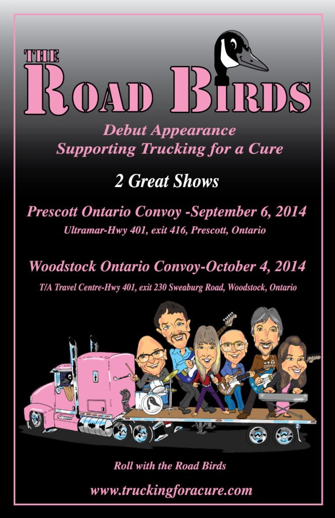 Road Birds Poster